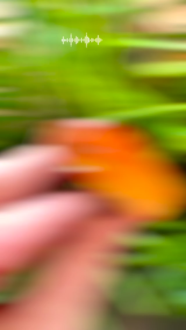 From Nature With Love PL